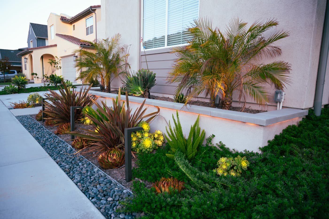 Illuminated front-yard planting with palms in Del Mar by Modern Yardz