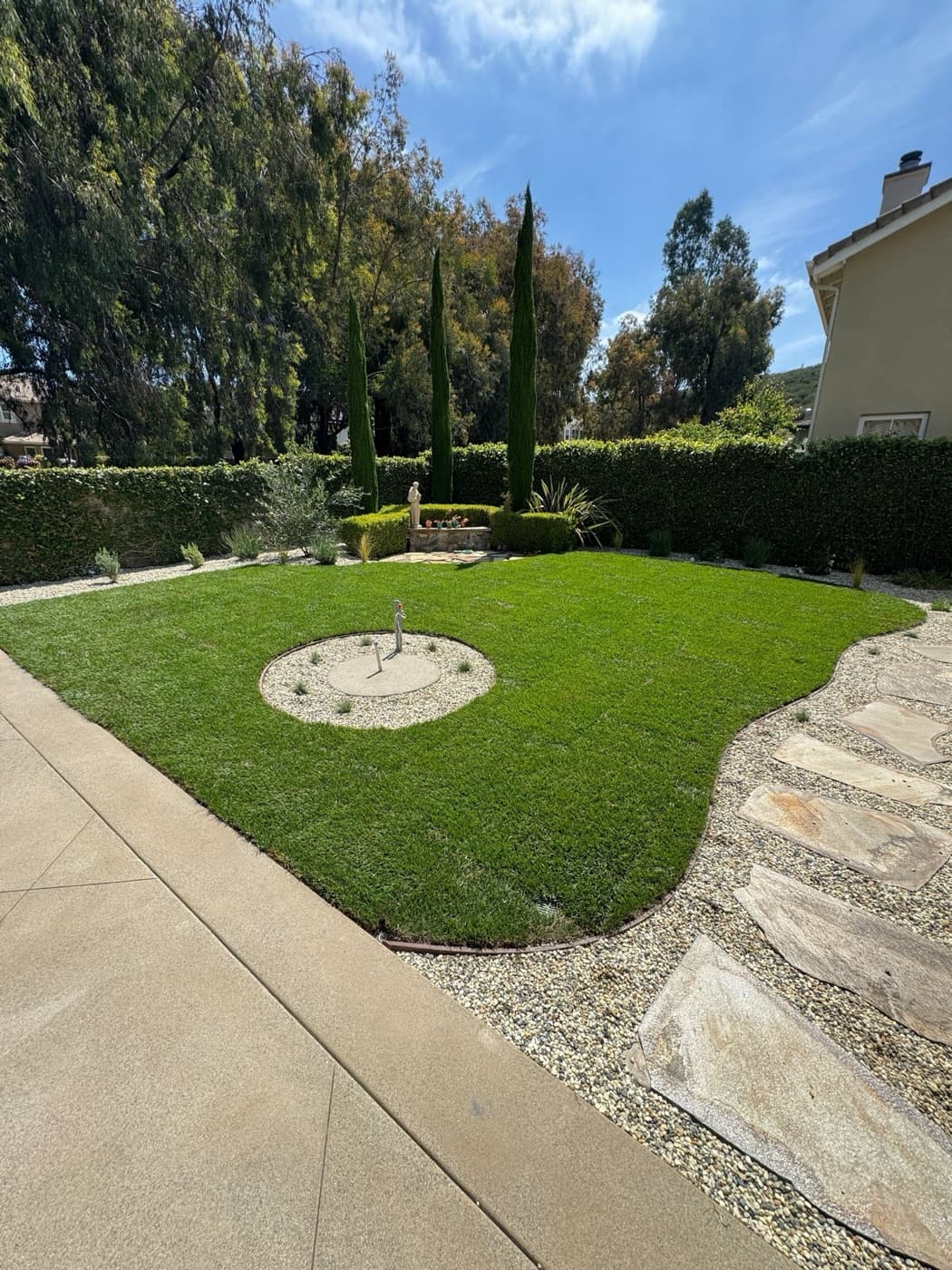 Manicured lawn framed by Italian cypress in Rancho Santa Fe by Modern Yardz